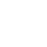 Initial Consultation