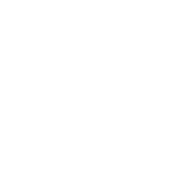 Initial Consultation